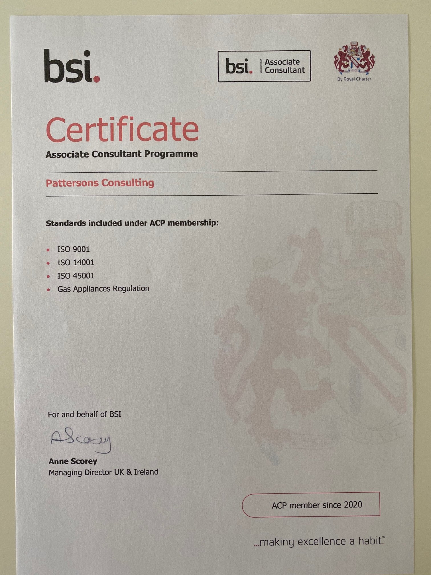 BSI Associate Consultant Programme (ACP)