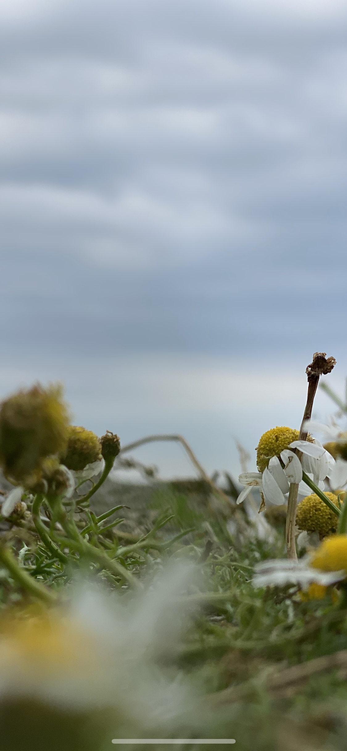 Using environmental aspects to inform investment decisions